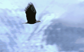 第6页_新能源网